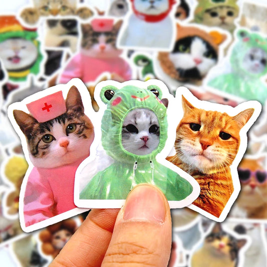 Meme Cat Stickers