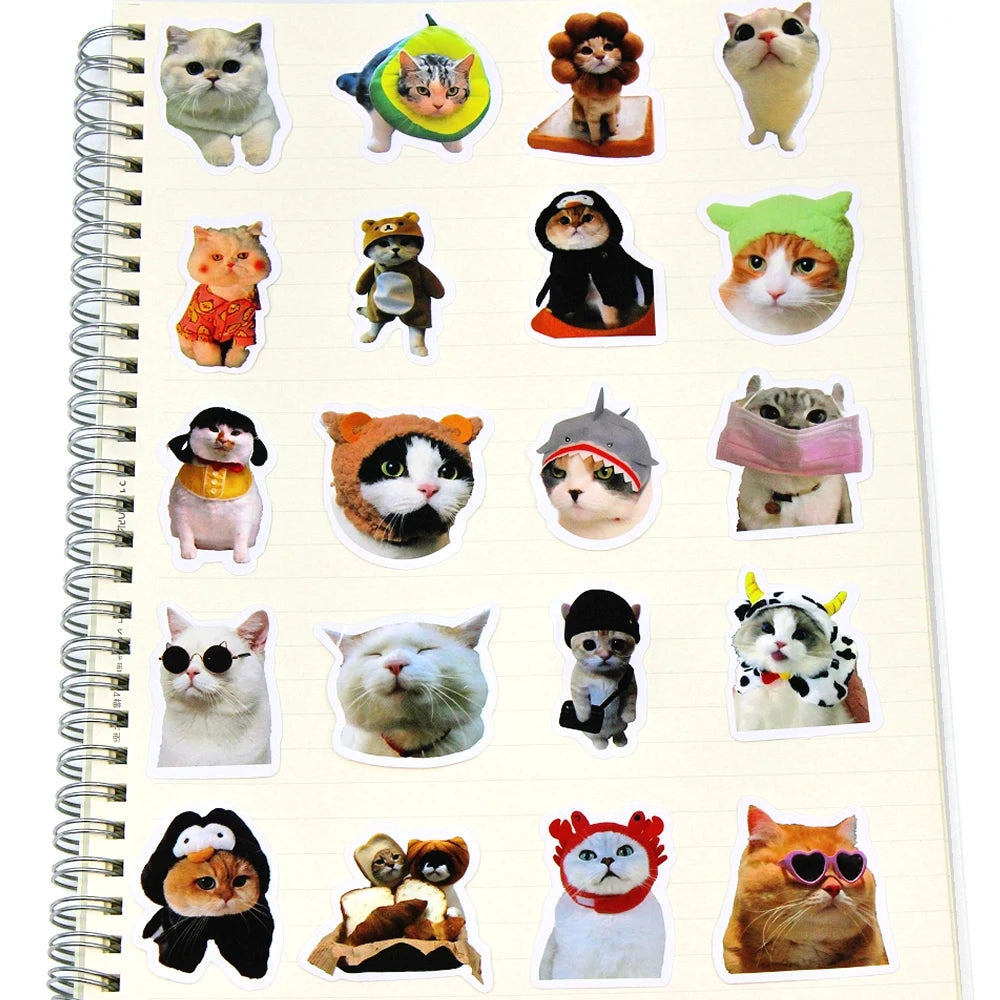 Meme Cat Stickers