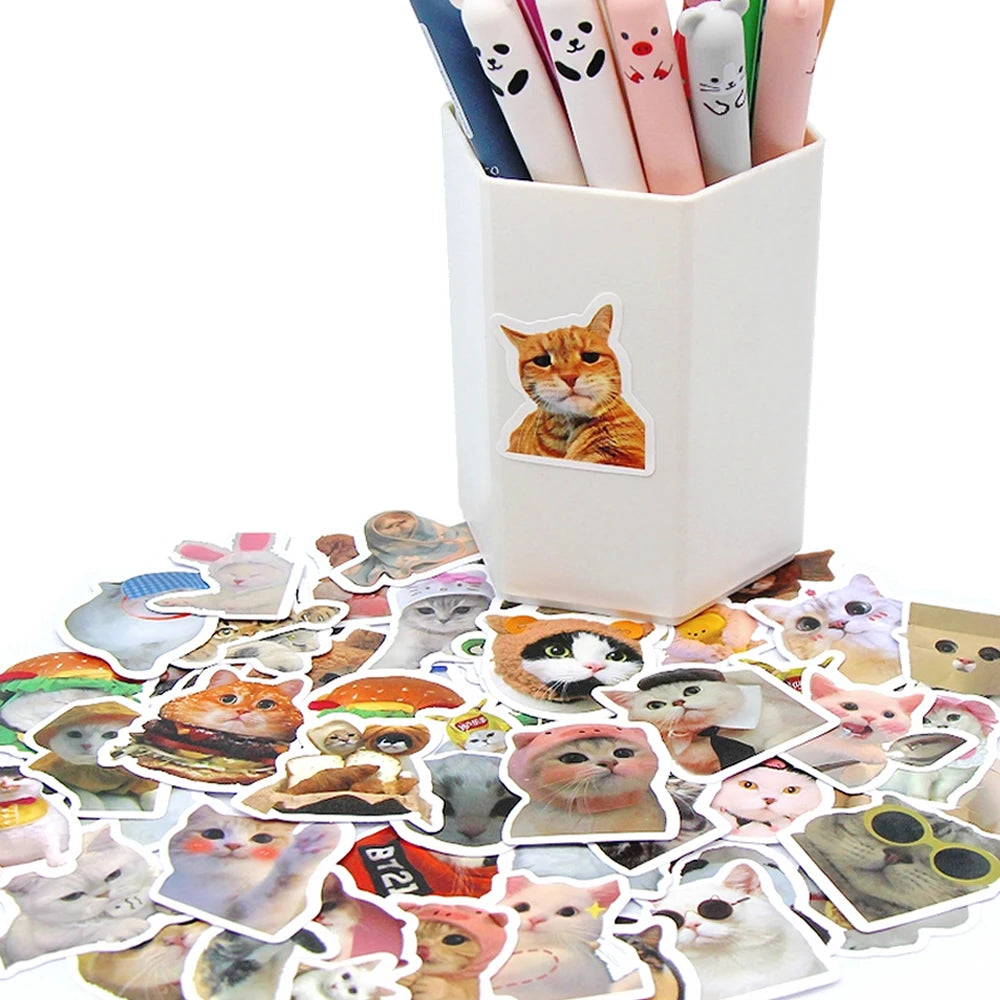 Meme Cat Stickers