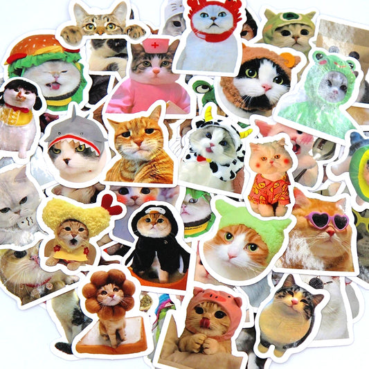 Meme Cat Stickers