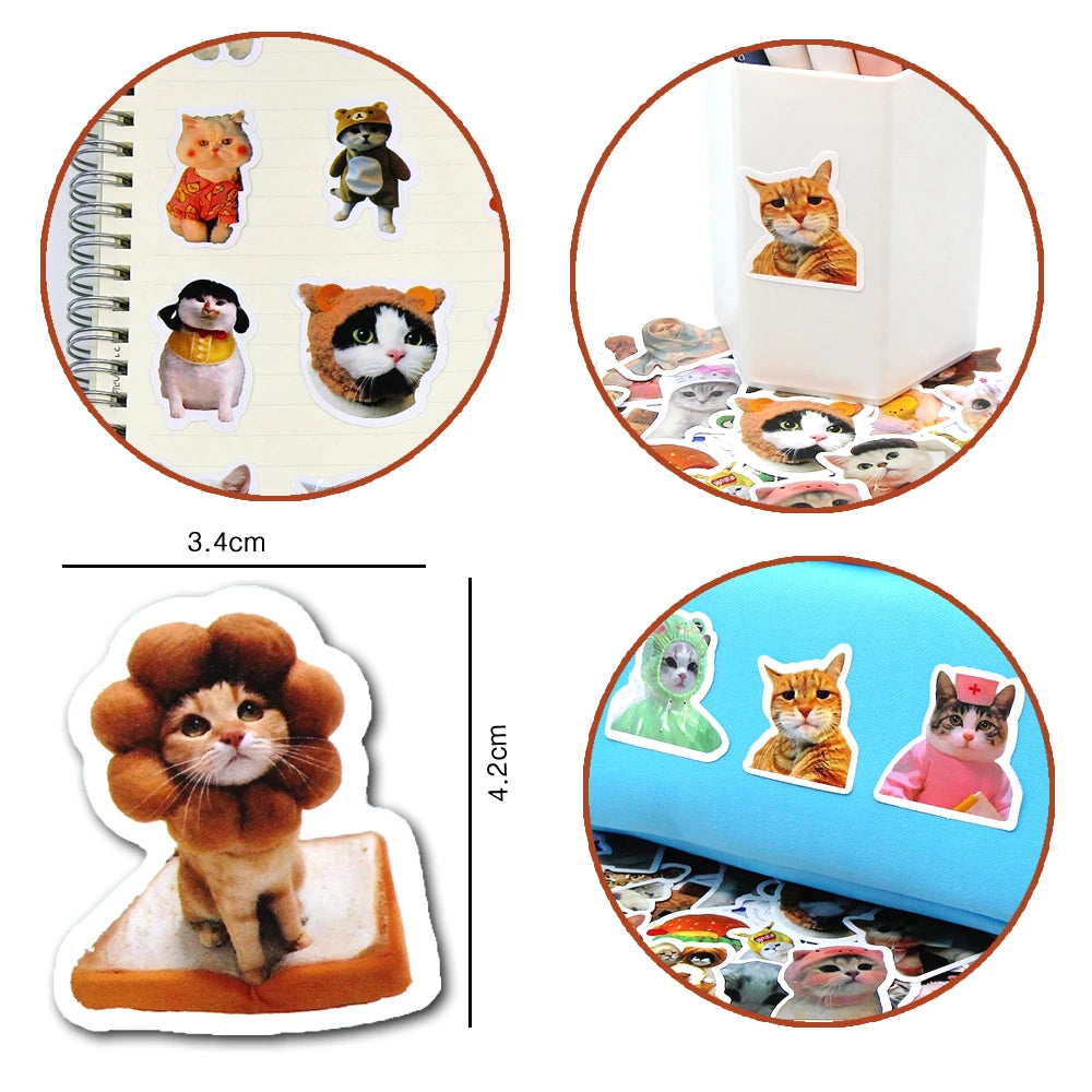 Meme Cat Stickers