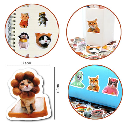 Meme Cat Stickers